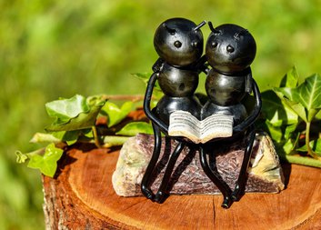 Oblastní charita Písek hledá dobrovolníky