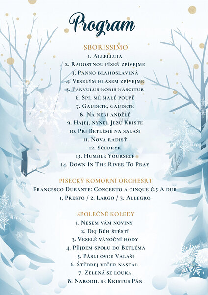 program