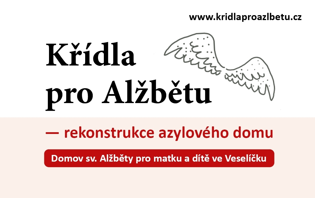 web banner kridla pro alzbetu