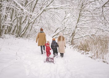 Jaký byl rok 2024 pro "ROZÁRKU"?
